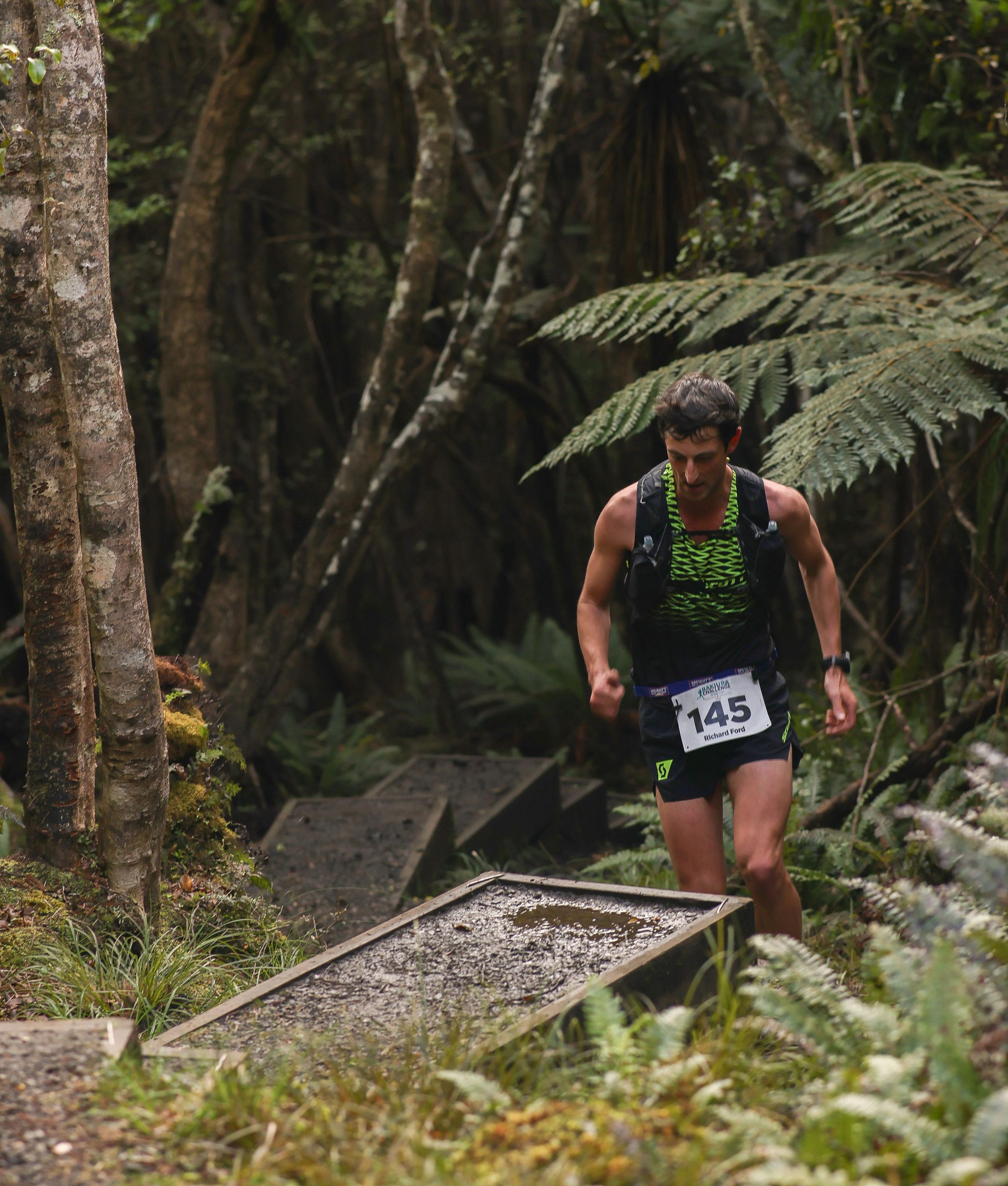 Gallery Rakiura Challenge Trail Run